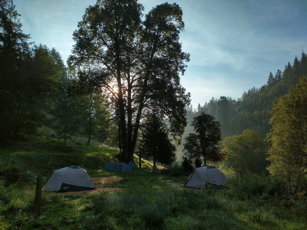 Trekkingcamp Fischbach Morgenstimmung mit mehreren auf dem Platz stehenden Zelten